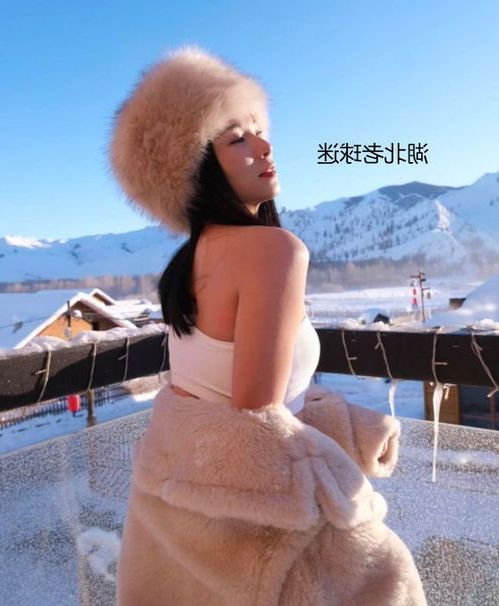 林小渔吕成行免费小说全文在线阅读