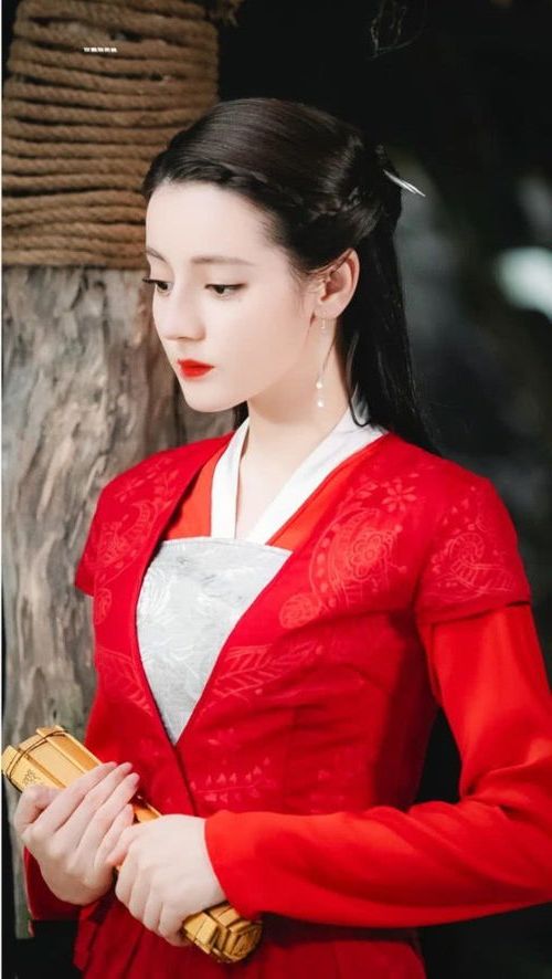 云千帆苏晴狂龙战婿免费读 - 书名叫什么