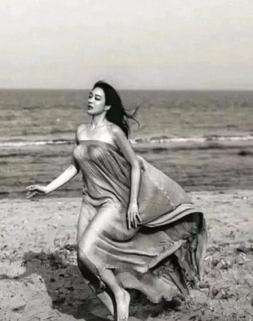 云王归来云千帆苏晴全文免费阅读