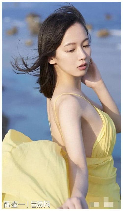 浴火弃少陈风柳婉全文免费阅读陈风柳婉小说全本无弹窗