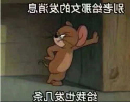 一夜惊喜沈先生晚安百度云txt下载